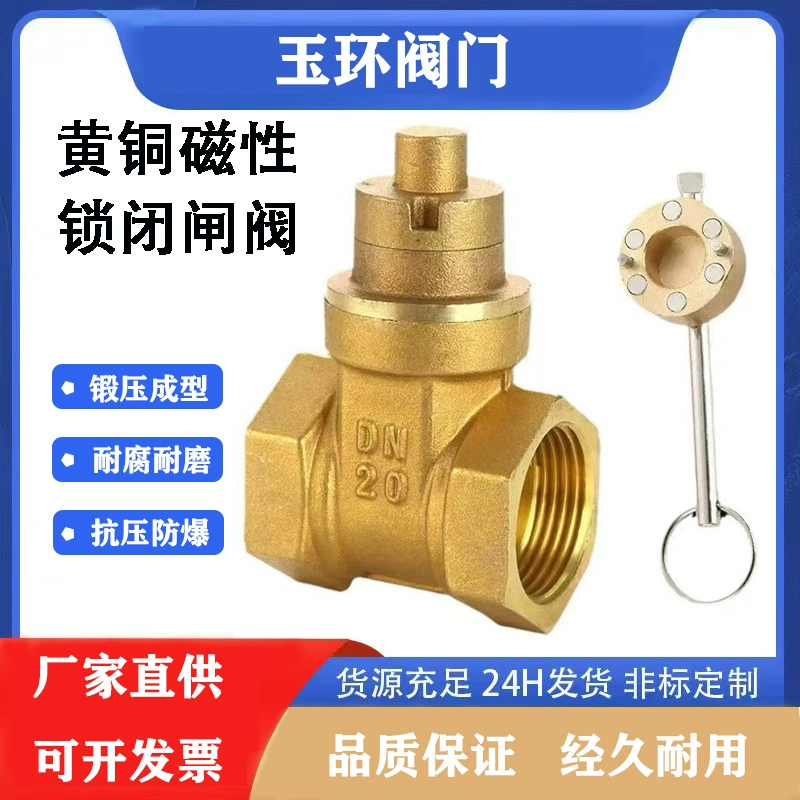 Полный медный магнитный запорный запорный запорный запорный клапан передний зашифрованный клапан с замком 4 минуты 6 минут 1 дюйм водопроводной воды противоугонный клапан