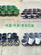 �����m�бP�мܶ��⻨���бP�pɫ���м��бP12��15�������м�Ѩ�P