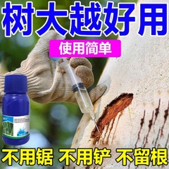四季通用の荒涼とした喬木のつるの木の雑多な針が倒れて荒れ果てた強力な根を開けて強力に死んだ大木の瑾のを取り除きます。