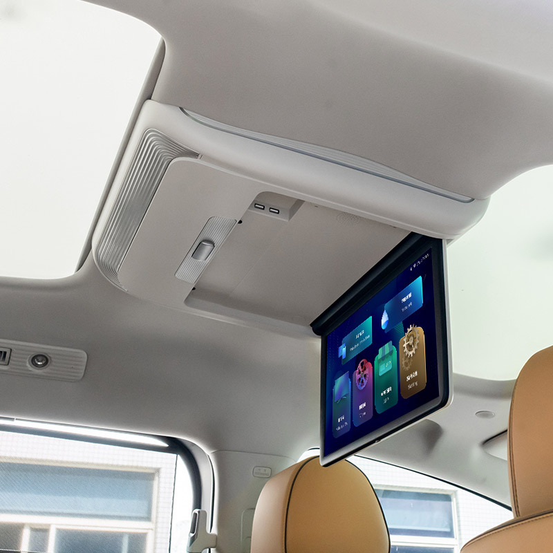 15,6-дюймовый голосовой пульт дистанционного управления 4G+ — Denza D9 — руководство