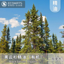 黑云杉精油加拿大进口有机原料香薰扩香芳疗厂家单方雅琪香氛精油