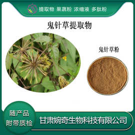 鬼针草粉 鬼针草提取物10：1鬼针草浸膏 甘肃婉奇生物 现货供应包