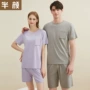 薄款凉爽外穿短袖家居服