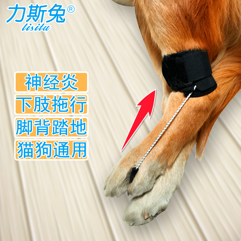 残疾狗后腿辅助后肢无力骨折拖地磨腿拖行神经关节损伤瘫痪猫宠物
