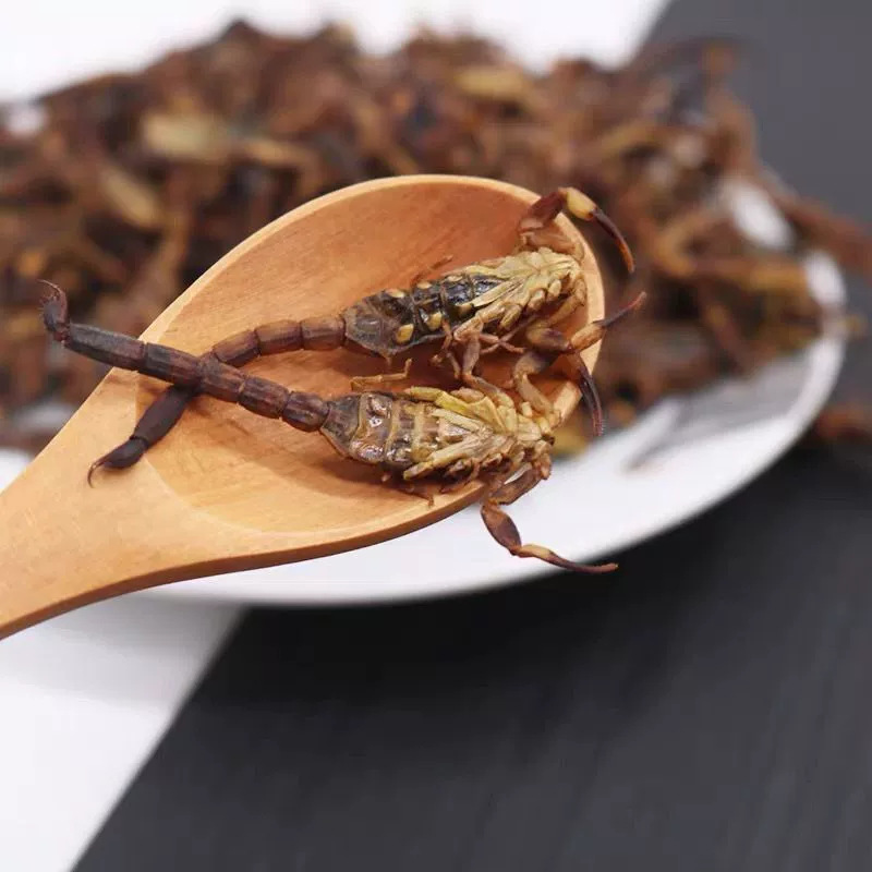 Whole Scorpion Quan Xie Dried TCM Herb 500g Natural Sun Dried Shandong Origin quality and texture