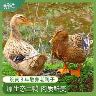 �F������3��4-5.6�������r��ɢ�B�������������������ӻ���������