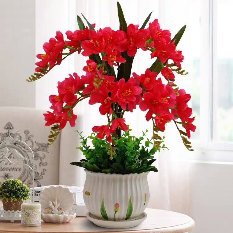 207 Alyssum 9 큰 빨간색