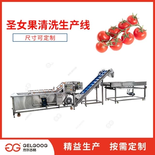 全自动洗果机 番茄西红柿千禧果清洗生产线设备 圣女果清洗机