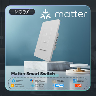 Graffiti WIFI Smart Switch Matter Smart Home Light Control American APP Voice Control Button Type 120