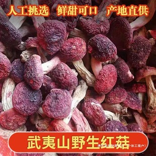 �t����؛��؛��������ɽ��ɽ�t���{�׼tĢ��������؛���ӹ�