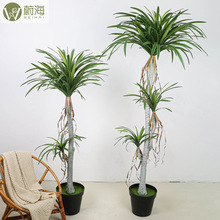 ���W�L�쾰�����F��Gֲ�����̈�ܛ�bɢβ����Ѫ�����ԾGֲ�͏d