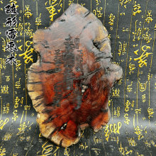 ����ɽ ��ľ�Ѽ��[����ľ������·��ˇƷ��Ȼ�S����Ȼ�����S�C�l