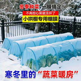 种菜小拱棚膜果树4丝保温防寒大棚内膜塑料膜蔬菜种植无滴膜