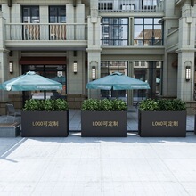 �Fˇ���⻨��M�Ϲ��S���l �����V���G���̘I�և��ڸ��໨�ۻ���