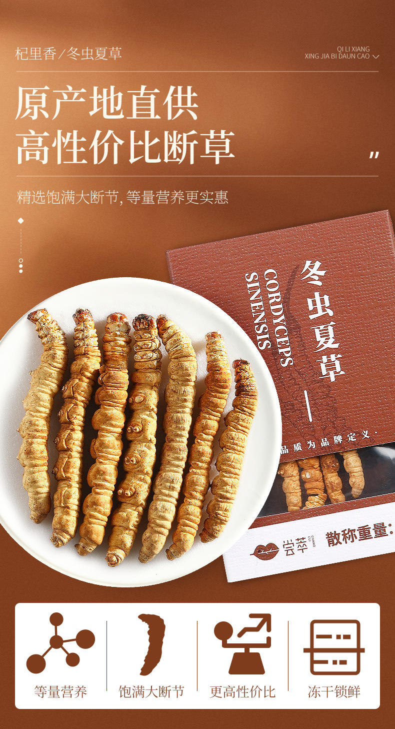 Dried Cordyceps Sinensis Broken Stems 1g Box Wild Harvested Tibetan Plateau Cordyceps for Traditional Soup and Decoction quality and texture