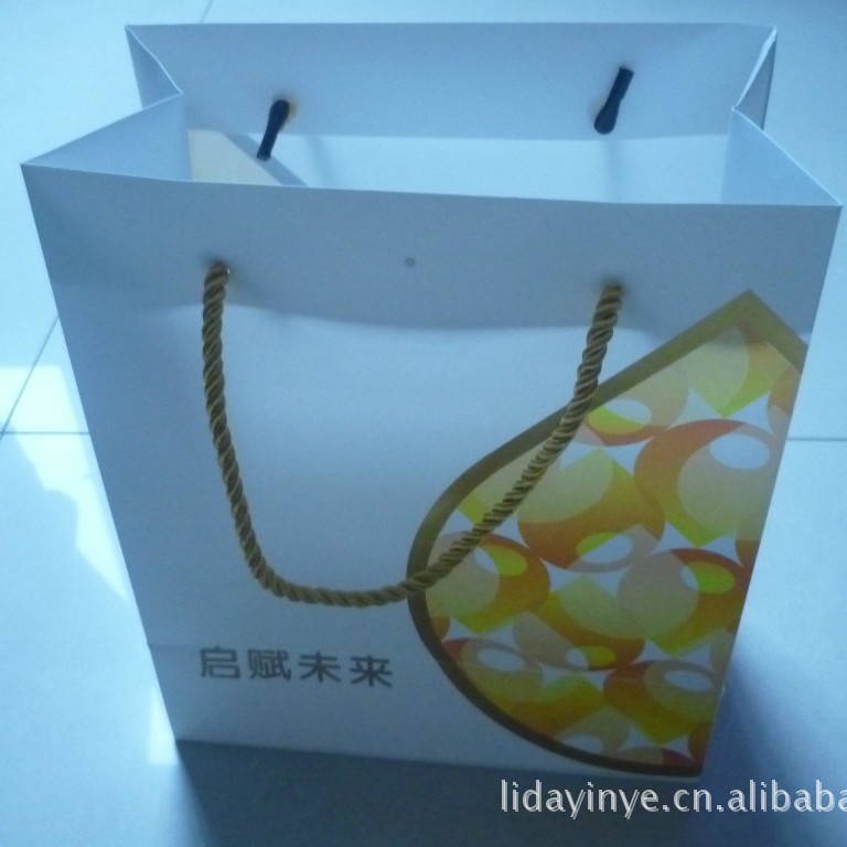 厂家直供手提袋 塑料礼品袋 品牌服装手提袋 PP手提袋