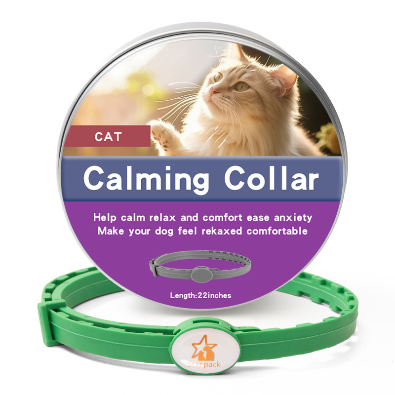 맞춤형 고양이 상자 녹색 56CM