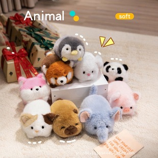 �ɐ��������ſſ������؈����ë�q���С����ż��ͯ���᲼ż����