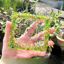 С�t�����ջ��@������diy�ֹ��������ϴ����������z���u���
