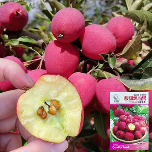 ���l�u�Ĺ��N�����Ժ��Ĺ����˅��������˾��¹ϰ����O���N��