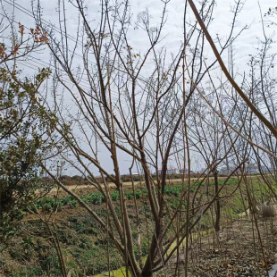 ����ֱ�N������l���ͺ��ͺ����lҎ���Rȫ�G����ľ�������Ǘ����