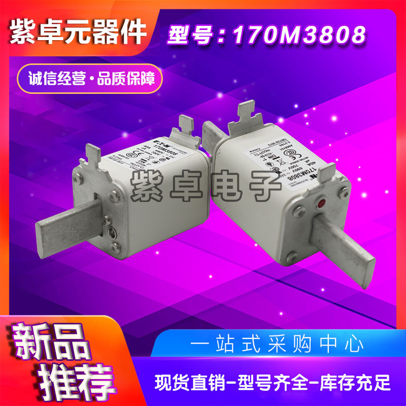 170M3768 170M3769 170M3770 170M3771 170M3772 170M3773熔断器