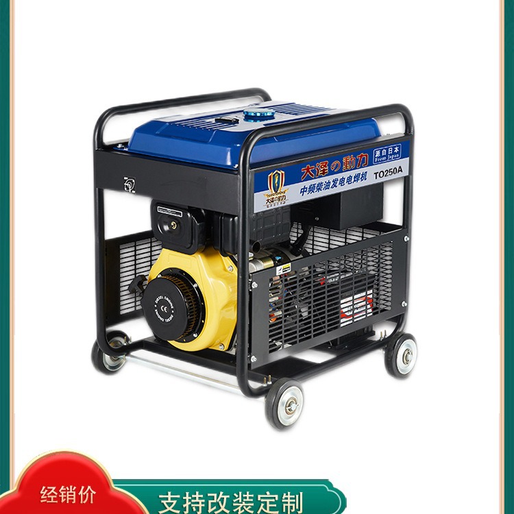 市场认可大泽动力250A柴油发电电焊机 TO250A 野外维修抢险焊接用