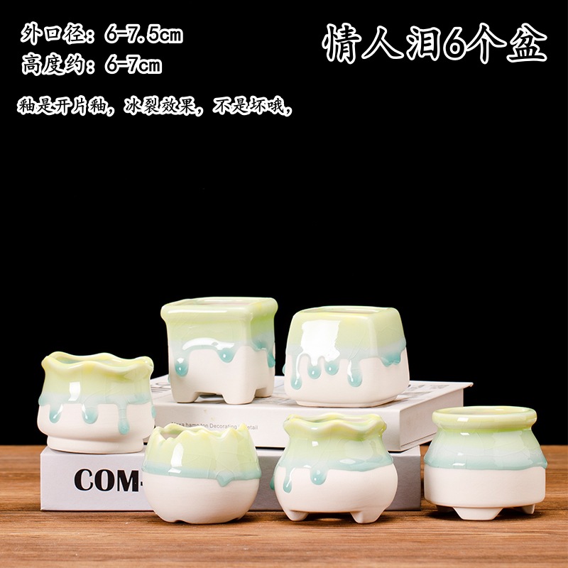 情人泪6个盆_副本