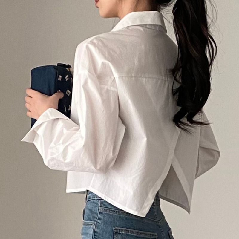 Korean Early Autumn French Niche Design Discreet Back Slit Loose Lapel Short Long-Sleeved Shirt for Women