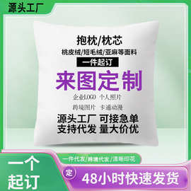 源头厂家亚麻 短毛绒 桃皮绒抱枕套单双面印花靠垫套可自定义图片