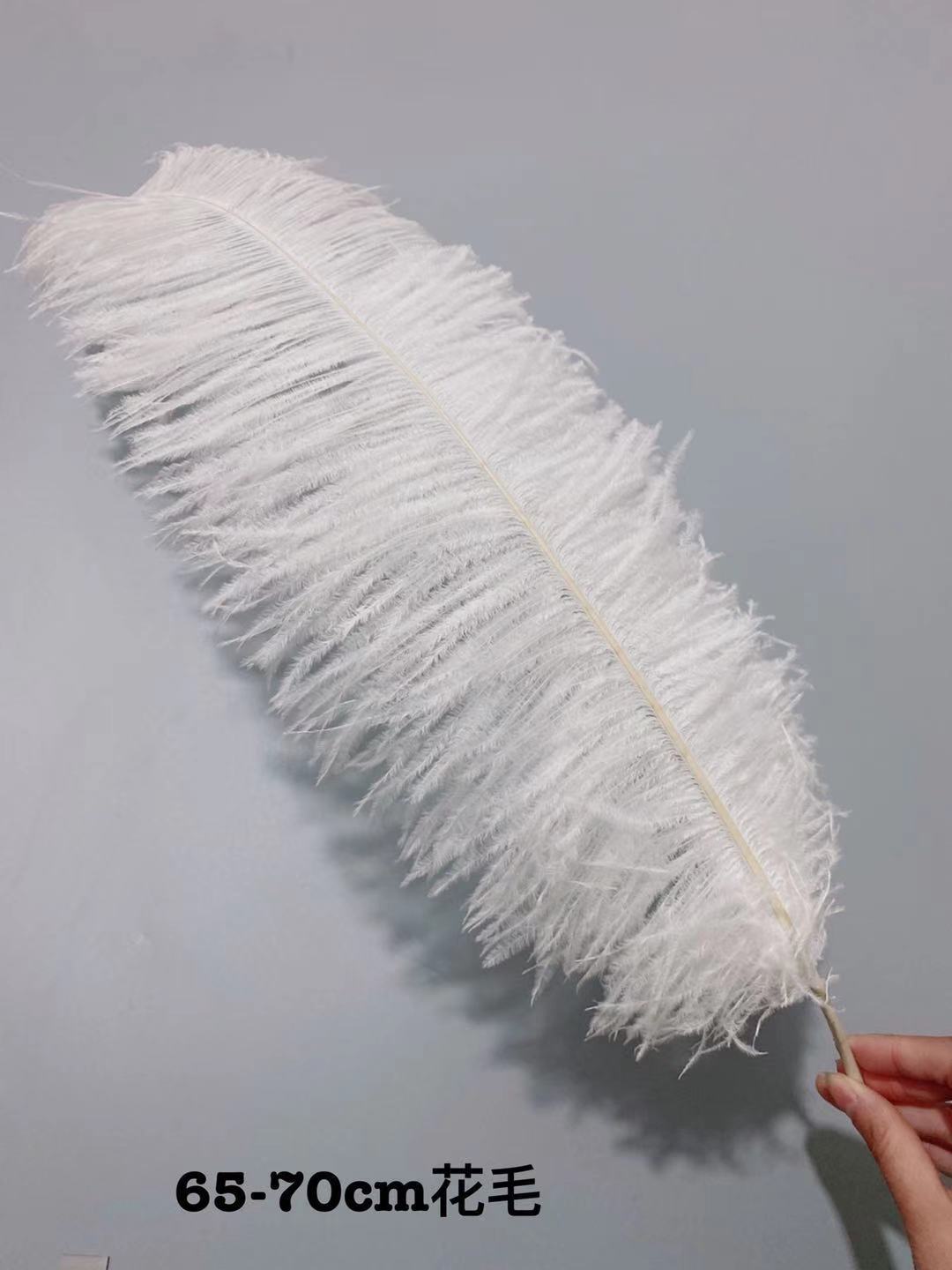 f9e6f5c39345694b6bd01e950b87fe