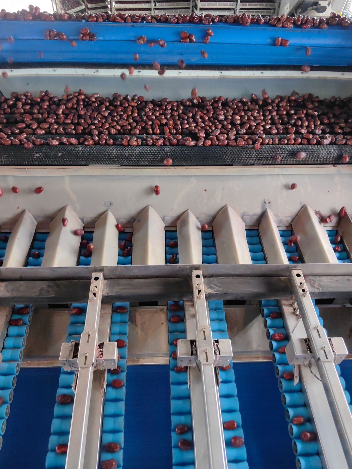 微信图片_20250405191512