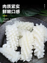 新鲜精品鱿鱼花250g/袋冷冻水产海鲜墨鱼火锅半成品餐饮家庭食材