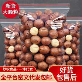 代发夏威夷果奶油味薄皮夏果袋装 开口坚果薄皮奶香胡桃夏威夷果