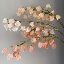 ߼П\ ՇмҾؔ[ˇ\bcٻ