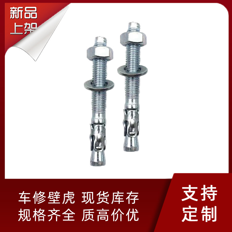 国标镀锌车修壁虎 强力拉爆攀岩螺钉 车修壁虎 膨胀螺丝 质高价优