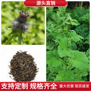 �ľ��N���ѷN�ļ�ͥԺ�N��ֲľ��N���ļ��Vľ��N��