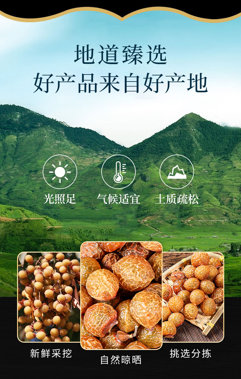 Wu Huan Zi (Sapindus mukorossi) — Dried Soapberry Fruit for Herbal Wash & Tea overview