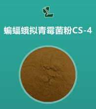 虫草菌丝体粉 CS-4 发酵虫草菌粉 500g/袋 现货 蝙蝠蛾拟青霉菌粉