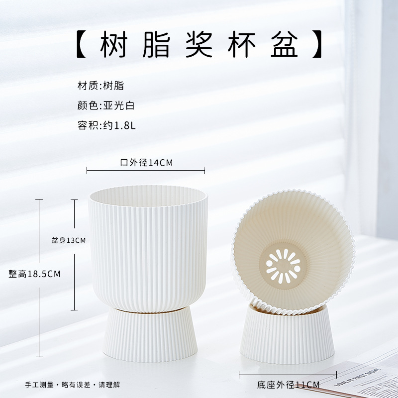 High-end phalaenopsis basin milky white (pot diameter 14cm )