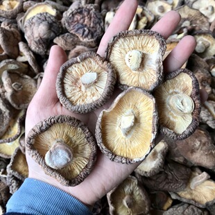 ���㹽��؛���{���㹽500g�����㹽ʳ�þ�����ֱ�I�����l���깩��