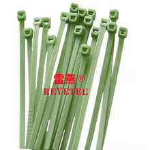 GT-100M-PP �۱�ϩ����