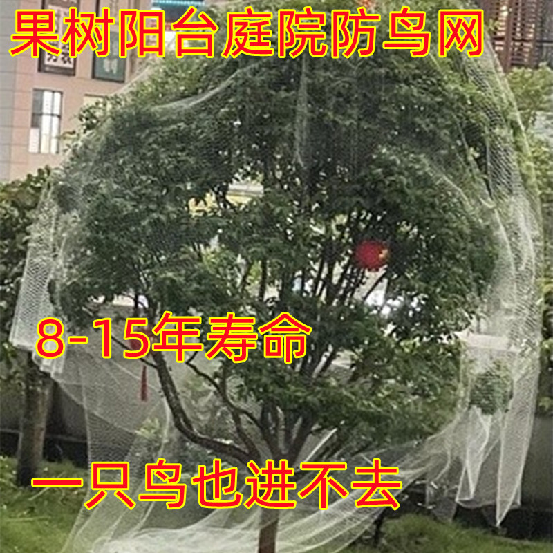 阳台防鸟网庭院果树防鸟用的网农用防鸟丝网果园天网天台防垒德株