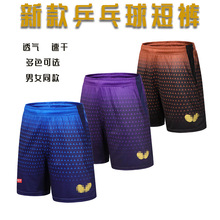 新款夏秋季乒乓球服短裤速干男女款运动裤透气训练运动比赛服印字