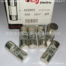 DF 442063 �۶��� �������� 63A��aM��690V��22x58mm���綯������