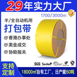 广东打包带3000米包装带厂家透明色塑料环保扎带全自动机用打包带
