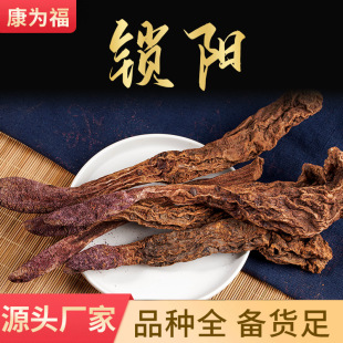 �i� �i�Ƭ�iꖂ���ș���ݾ��i� ���]������½�500��