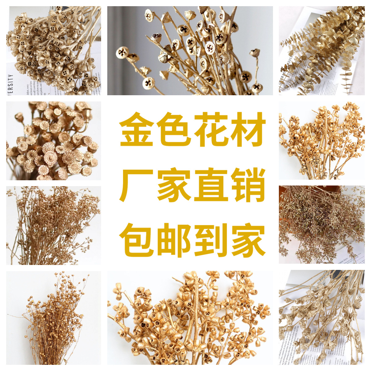 金色干花小米果尤加利果十字果干果僵尸果圣诞装饰金色永生花