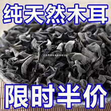 ľ���|����ľ����؛С����L��ɽ�ľҰ��������o���خa���ͶY