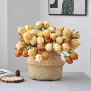 ��߅��õ�廨�ٻ����滨�͹����^õ����ɫ��ʽ��߅õ����滨